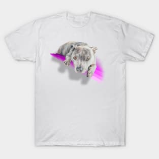 Beautiful blue staffie terrier on a rainbow pink wave! T-Shirt